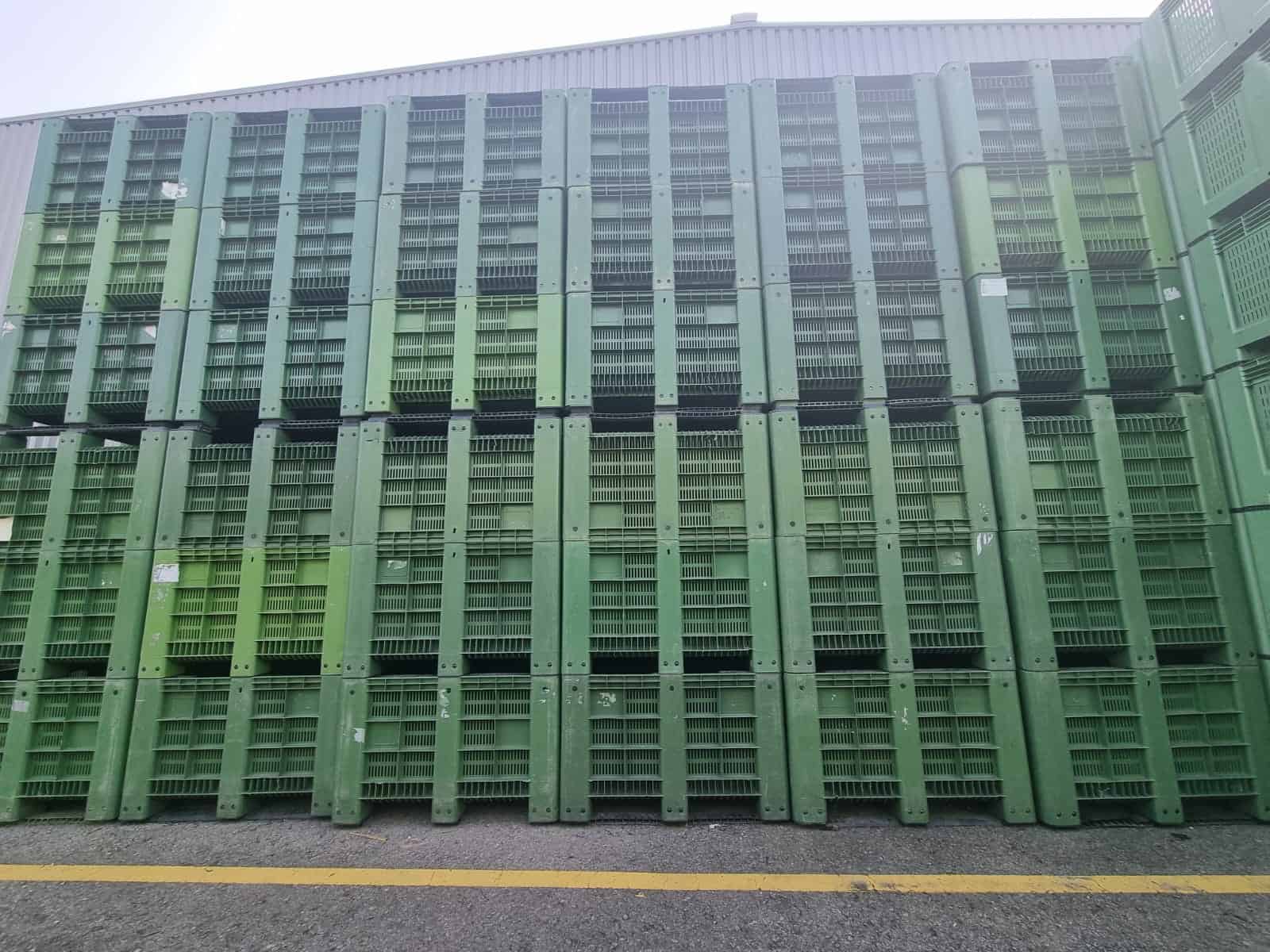 Palox plastique vert bon état sans défauts